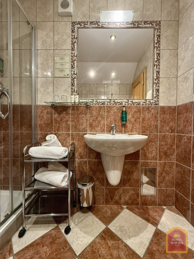 koupelna apt22